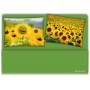 COMPLETO LETTO IMMAGINI GIRASOLI